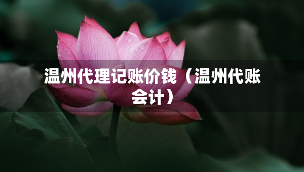 溫州代理記賬價(jià)錢（溫州代賬會(huì)計(jì)）
