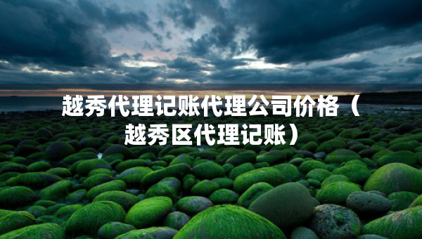 越秀代理記賬代理公司價(jià)格（越秀區(qū)代理記賬）