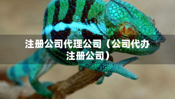注冊公司代理公司（公司代辦注冊公司）