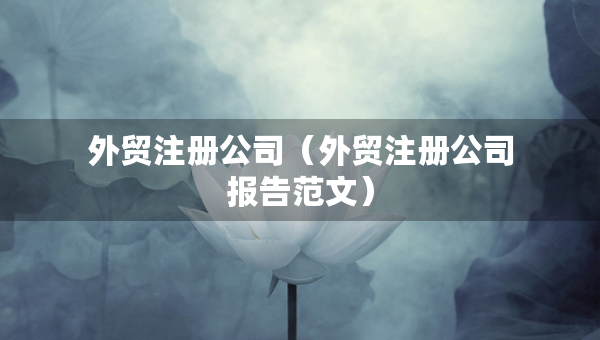 外貿(mào)注冊(cè)公司（外貿(mào)注冊(cè)公司報(bào)告范文）