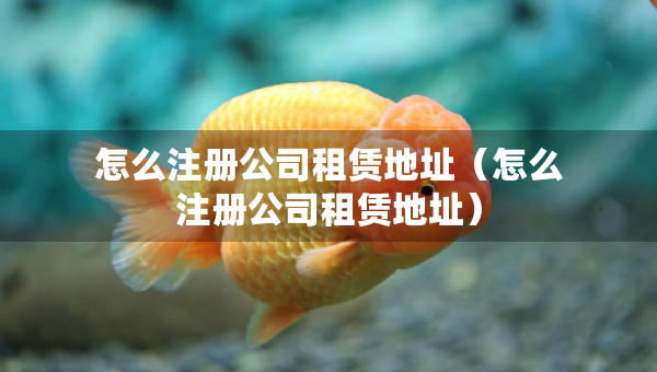 怎么注冊(cè)公司租賃地址（怎么注冊(cè)公司租賃地址）