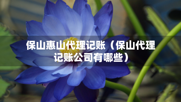 保山惠山代理記賬（保山代理記賬公司有哪些）