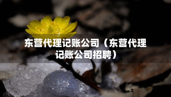 東營代理記賬公司（東營代理記賬公司招聘）