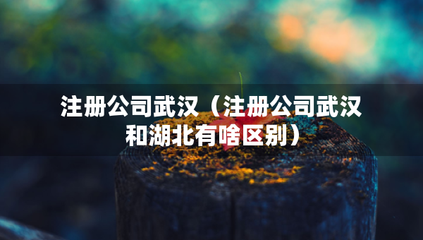 注冊(cè)公司武漢（注冊(cè)公司武漢和湖北有啥區(qū)別）
