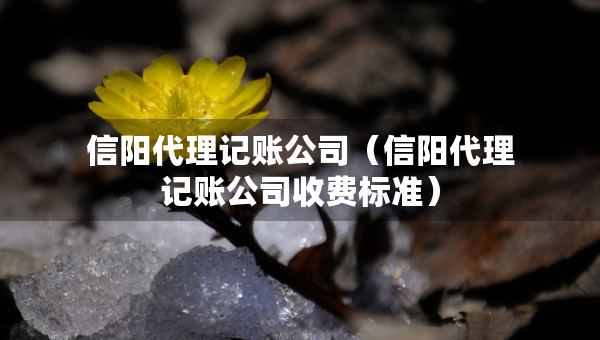信陽(yáng)代理記賬公司（信陽(yáng)代理記賬公司收費(fèi)標(biāo)準(zhǔn)）