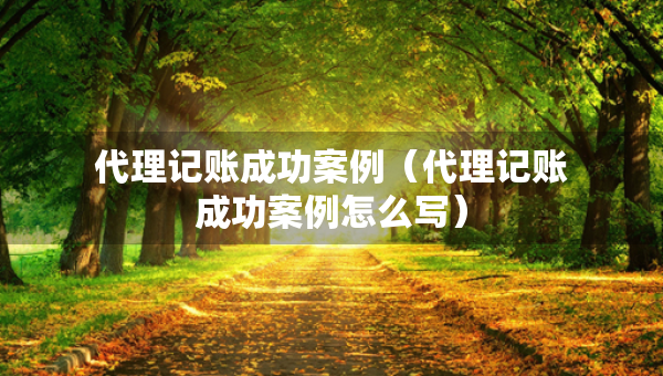 代理記賬成功案例（代理記賬成功案例怎么寫(xiě)）