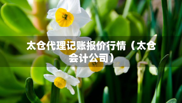 太倉代理記賬報價行情（太倉會計公司）