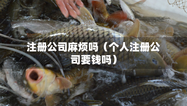 注冊(cè)公司麻煩嗎（個(gè)人注冊(cè)公司要錢嗎）