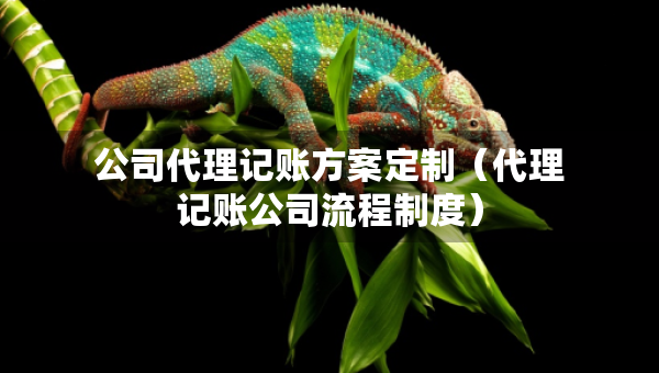公司代理記賬方案定制（代理記賬公司流程制度）