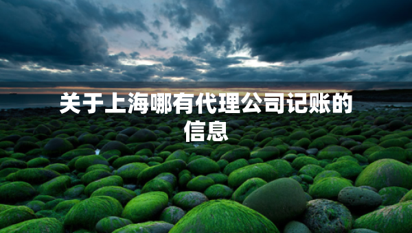 關(guān)于上海哪有代理公司記賬的信息