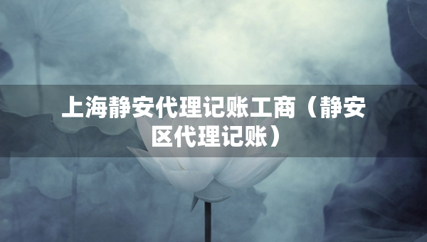 上海靜安代理記賬工商（靜安區(qū)代理記賬）