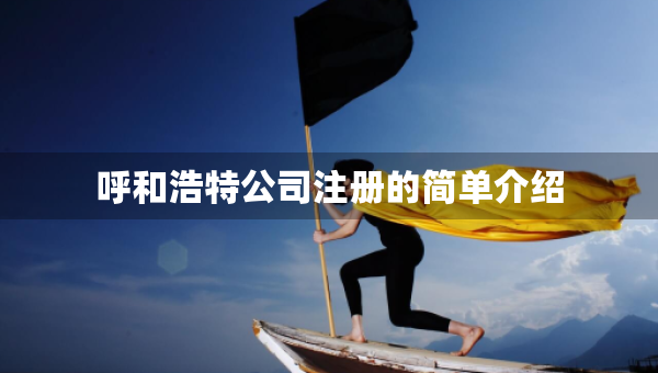 呼和浩特公司注冊的簡單介紹