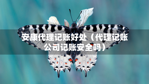 安康代理記賬好處（代理記賬公司記賬安全嗎）
