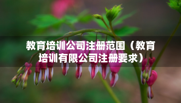 教育培訓(xùn)公司注冊范圍（教育培訓(xùn)有限公司注冊要求）