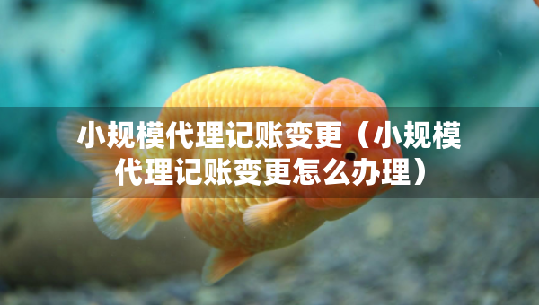 小規(guī)模代理記賬變更（小規(guī)模代理記賬變更怎么辦理）