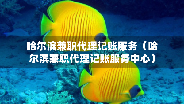 哈爾濱兼職代理記賬服務(wù)（哈爾濱兼職代理記賬服務(wù)中心）