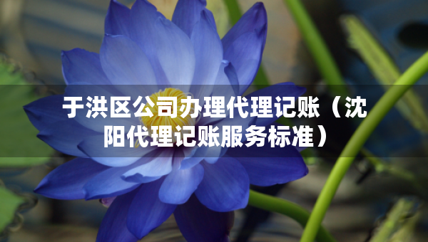 于洪區(qū)公司辦理代理記賬（沈陽代理記賬服務(wù)標(biāo)準(zhǔn)）