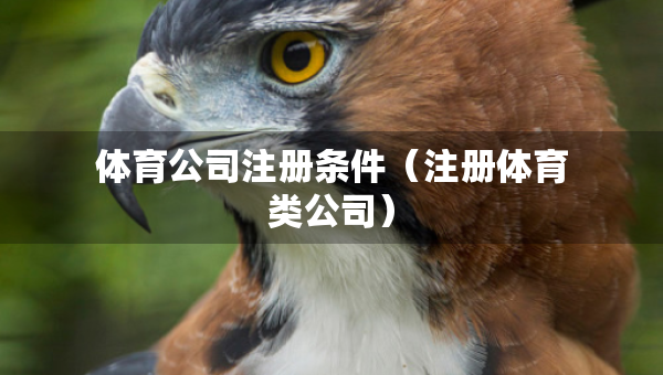 體育公司注冊(cè)條件（注冊(cè)體育類公司）
