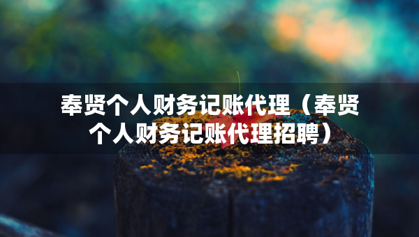 奉賢個(gè)人財(cái)務(wù)記賬代理（奉賢個(gè)人財(cái)務(wù)記賬代理招聘）
