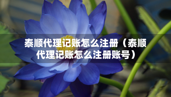 泰順代理記賬怎么注冊（泰順代理記賬怎么注冊賬號）