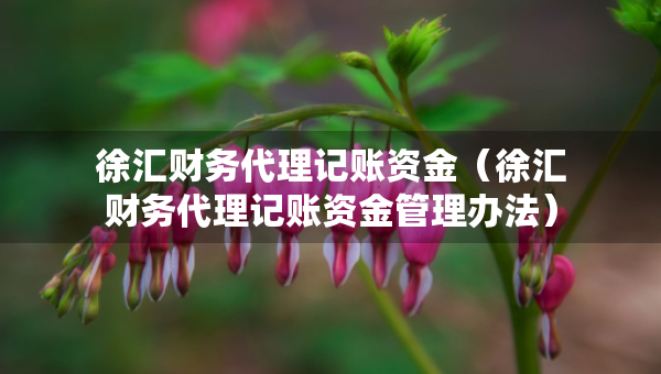 徐匯財(cái)務(wù)代理記賬資金（徐匯財(cái)務(wù)代理記賬資金管理辦法）