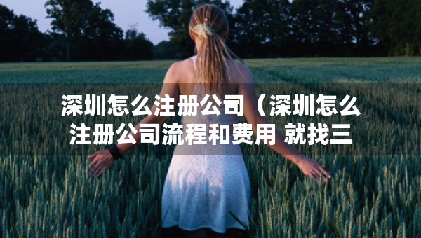 深圳怎么注冊公司（深圳怎么注冊公司流程和費用 就找三合一企服）