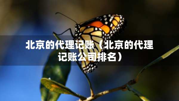 北京的代理記賬（北京的代理記賬公司排名）