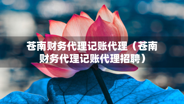 蒼南財(cái)務(wù)代理記賬代理（蒼南財(cái)務(wù)代理記賬代理招聘）