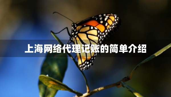 上海網(wǎng)絡(luò)代理記賬的簡單介紹