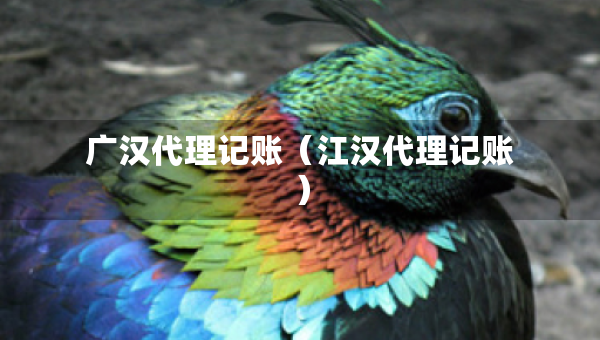 廣漢代理記賬（江漢代理記賬）