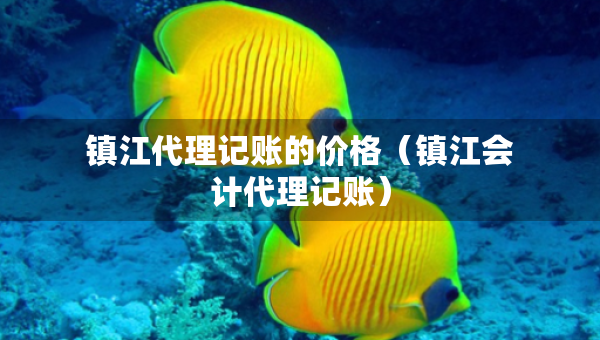 鎮(zhèn)江代理記賬的價(jià)格（鎮(zhèn)江會(huì)計(jì)代理記賬）