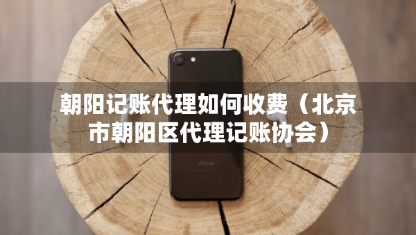 朝陽(yáng)記賬代理如何收費(fèi)（北京市朝陽(yáng)區(qū)代理記賬協(xié)會(huì)）