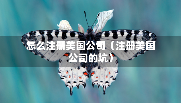 怎么注冊美國公司（注冊美國公司的坑）