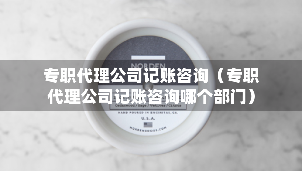 專職代理公司記賬咨詢（專職代理公司記賬咨詢哪個部門）