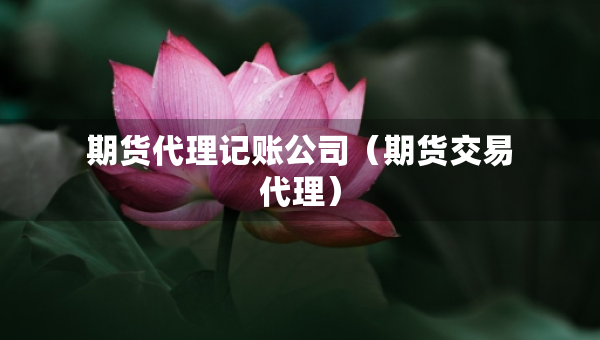 期貨代理記賬公司（期貨交易代理）