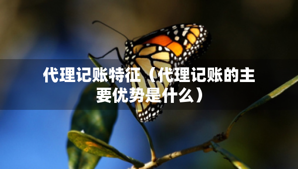代理記賬特征（代理記賬的主要優(yōu)勢是什么）