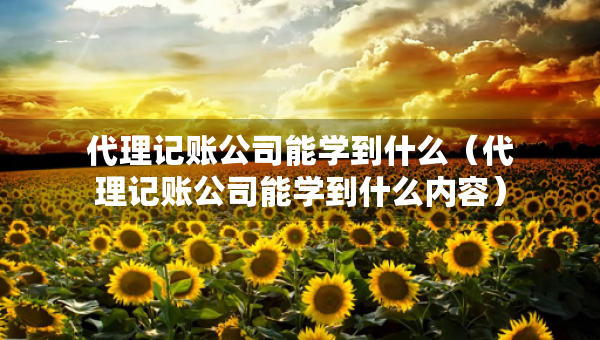 代理記賬公司能學到什么（代理記賬公司能學到什么內(nèi)容）