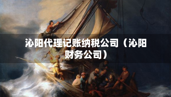 沁陽代理記賬納稅公司（沁陽財務(wù)公司）