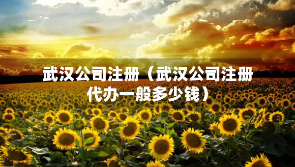 武漢公司注冊（武漢公司注冊代辦一般多少錢）