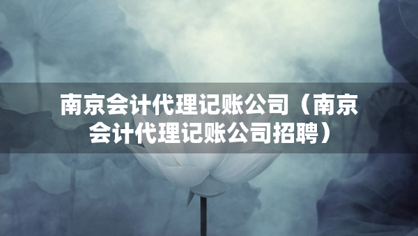 南京會(huì)計(jì)代理記賬公司（南京會(huì)計(jì)代理記賬公司招聘）