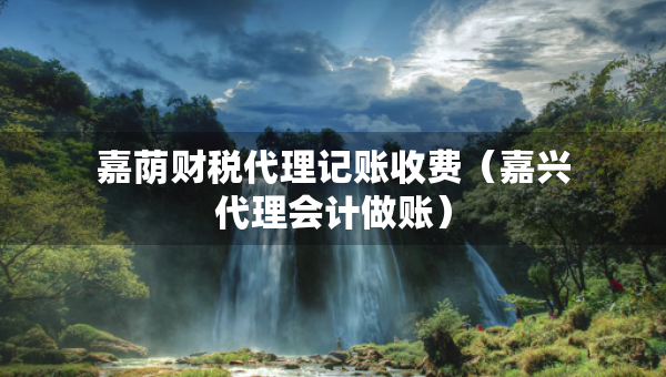 嘉蔭財(cái)稅代理記賬收費(fèi)（嘉興代理會(huì)計(jì)做賬）