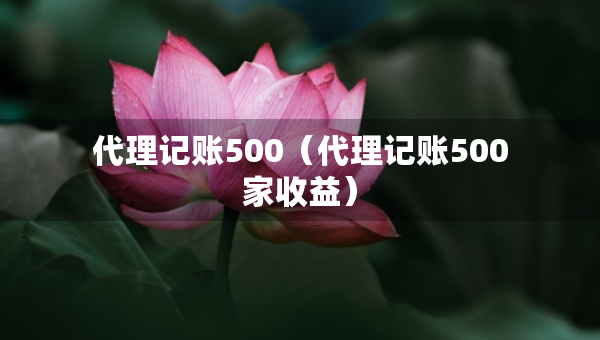代理記賬500（代理記賬500家收益）