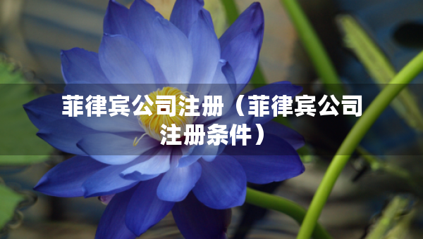 菲律賓公司注冊（菲律賓公司注冊條件）