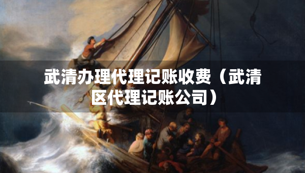 武清辦理代理記賬收費（武清區(qū)代理記賬公司）