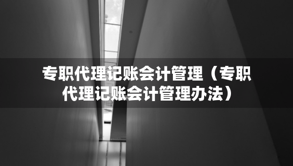專職代理記賬會計管理（專職代理記賬會計管理辦法）
