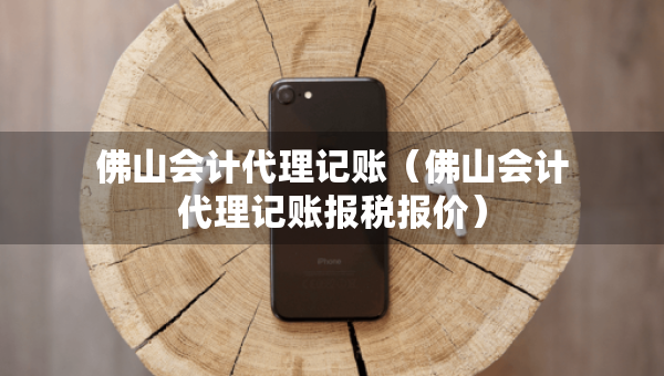佛山會(huì)計(jì)代理記賬（佛山會(huì)計(jì)代理記賬報(bào)稅報(bào)價(jià)）
