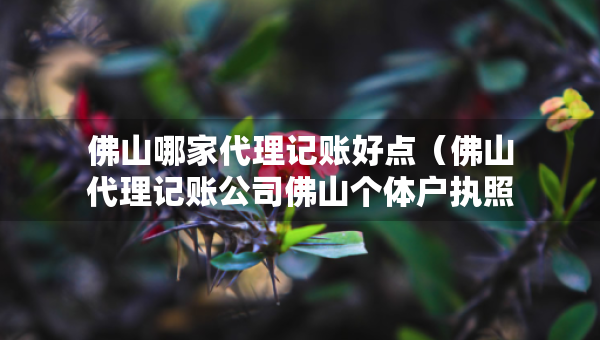 佛山哪家代理記賬好點(diǎn)（佛山代理記賬公司佛山個(gè)體戶執(zhí)照代辦）