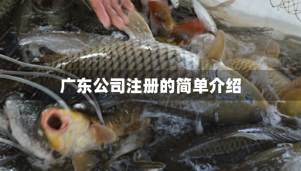 廣東公司注冊(cè)的簡(jiǎn)單介紹