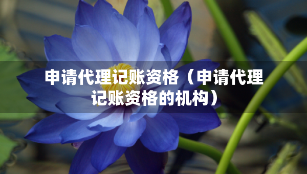 申請(qǐng)代理記賬資格（申請(qǐng)代理記賬資格的機(jī)構(gòu)）