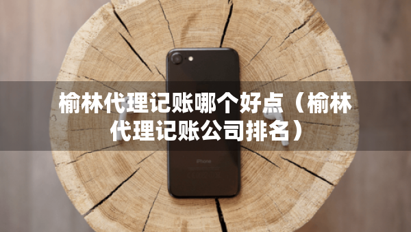 榆林代理記賬哪個(gè)好點(diǎn)（榆林代理記賬公司排名）